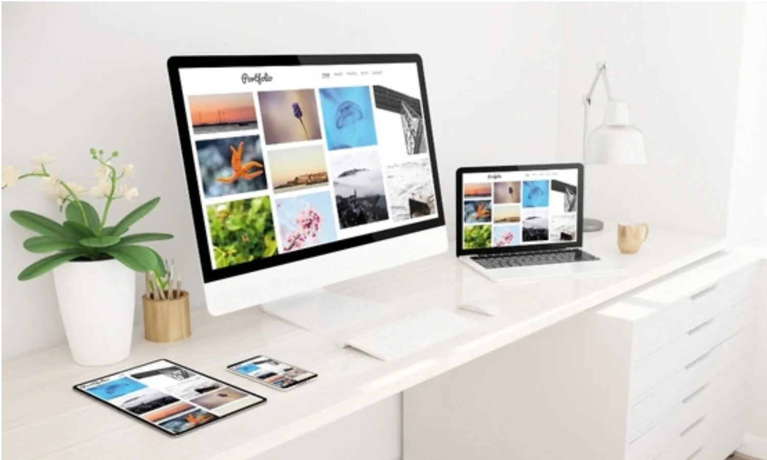 Research Portfolio Management Platform for Netscribes